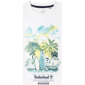textil Pojkar T-shirts Timberland  Vit