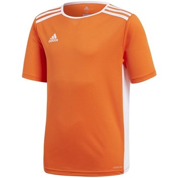textil Pojkar T-shirts adidas Originals Entrada 18 Orange