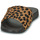 Skor Dam Flipflops FitFlop IQUSHION Leopard / Svart