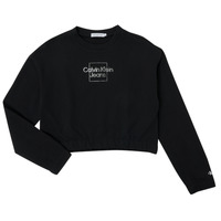 textil Flickor Sweatshirts Calvin Klein Jeans METALLIC BOX LOGO SWEATSHIRT Svart