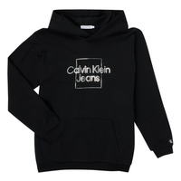textil Flickor Sweatshirts Calvin Klein Jeans METALLIC BOX LOGO RELAXED HOODIE Svart
