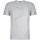 textil Herr T-shirts Invicta 4451241 / U Grå