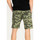 textil Herr Shorts / Bermudas Pepe jeans PM800850 | Owen Short Camo Grön
