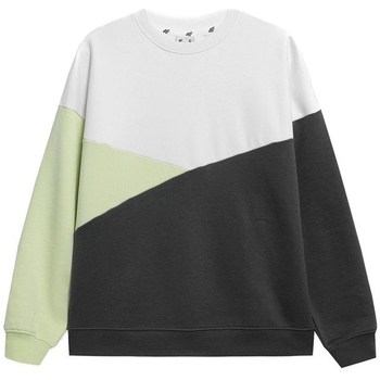 textil Dam Sweatshirts 4F BLD013 Vit, Grafit
