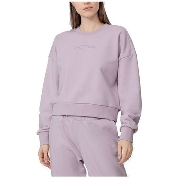 textil Dam Sweatshirts 4F BLD023 Rosa