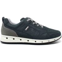 Skor Herr Sneakers IgI&CO 1629500 Blå