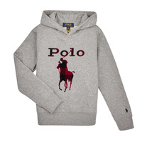 textil Pojkar Sweatshirts Polo Ralph Lauren 323883104002 Grå