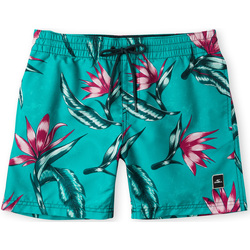 textil Pojkar Shorts / Bermudas O'neill Short enfant  Print Blå