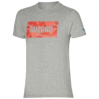 textil Herr T-shirts Mizuno Athletic Tee Grå