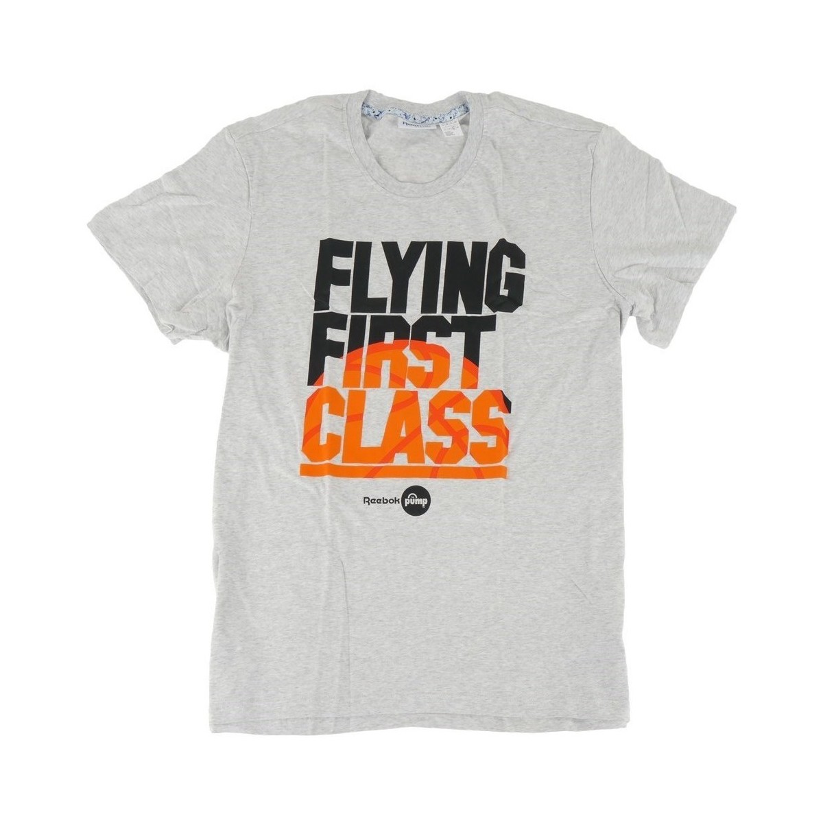 textil Herr T-shirts Reebok Sport Classic Flying 1ST Graphic Grå