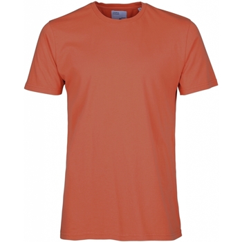 textil T-shirts Colorful Standard T-shirt  Classic Organic dark amber Röd