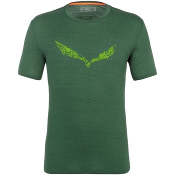 textil Herr T-shirts & Pikétröjor Salewa Pure Hardware Merino Men's T-Shirt 28384-5320 Grön