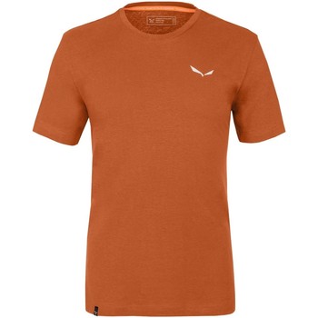 textil Herr T-shirts & Pikétröjor Salewa Pure Dolomites Hemp Men's T-Shirt 28329-4170 Orange