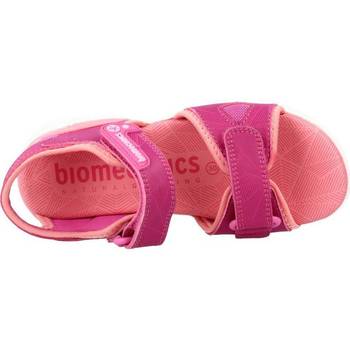 Biomecanics 222261B Rosa