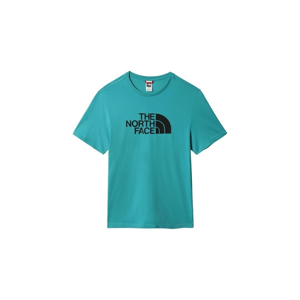 textil Herr T-shirts & Pikétröjor The North Face M SS EASY TEE Grön