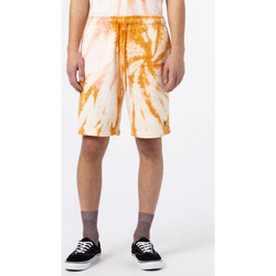 textil Herr Shorts / Bermudas Dickies Seatac short Gul