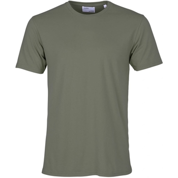 textil T-shirts Colorful Standard T-shirt  Classic Organic dusty olive Grön