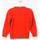 textil Pojkar Sweatshirts Napapijri N0CIW1-RA3 Flerfärgad