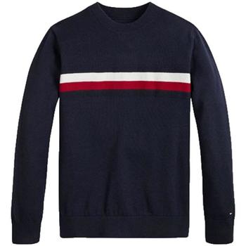 textil Pojkar Sweatshirts Tommy Hilfiger  Blå