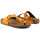 Skor Dam Flip-flops Scholl - greeny-f28057 Orange