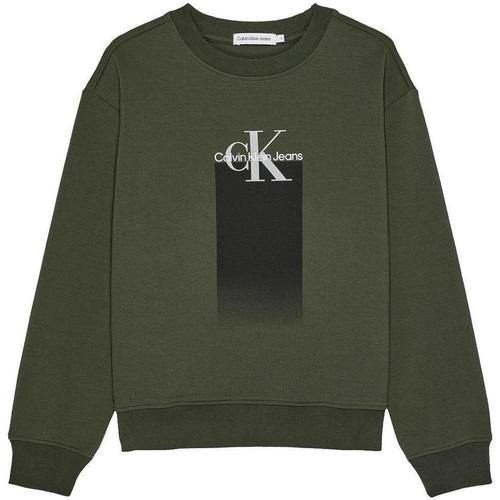 textil Pojkar Sweatshirts Calvin Klein Jeans  Grön