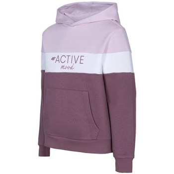 textil Flickor Sweatshirts 4F JBLD002 Violett