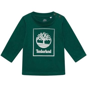 textil Pojkar T-shirts Timberland  Grön