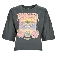 textil Dam T-shirts Rip Curl BARRELLED HERITAGE CROP Flerfärgad