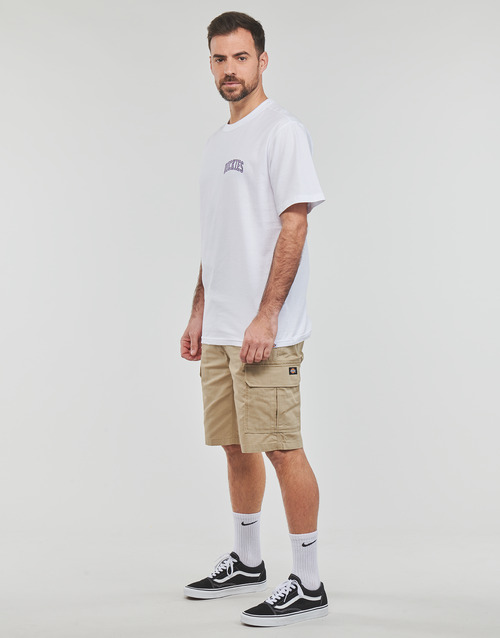 Dickies AITKIN CHEST TEE SS
