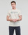 textil Herr T-shirts Tom Tailor 1035611 Beige