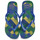 Skor Flip-flops Havaianas BRASIL FRESH Marin / Blå