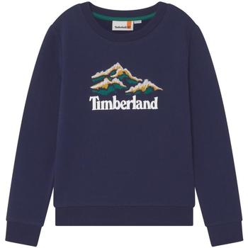 textil Pojkar Sweatshirts Timberland  Blå