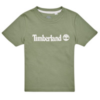 textil Pojkar T-shirts Timberland T25T77 Kaki