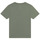 textil Pojkar T-shirts Timberland T25T87 Kaki