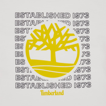Timberland T25T97 Vit