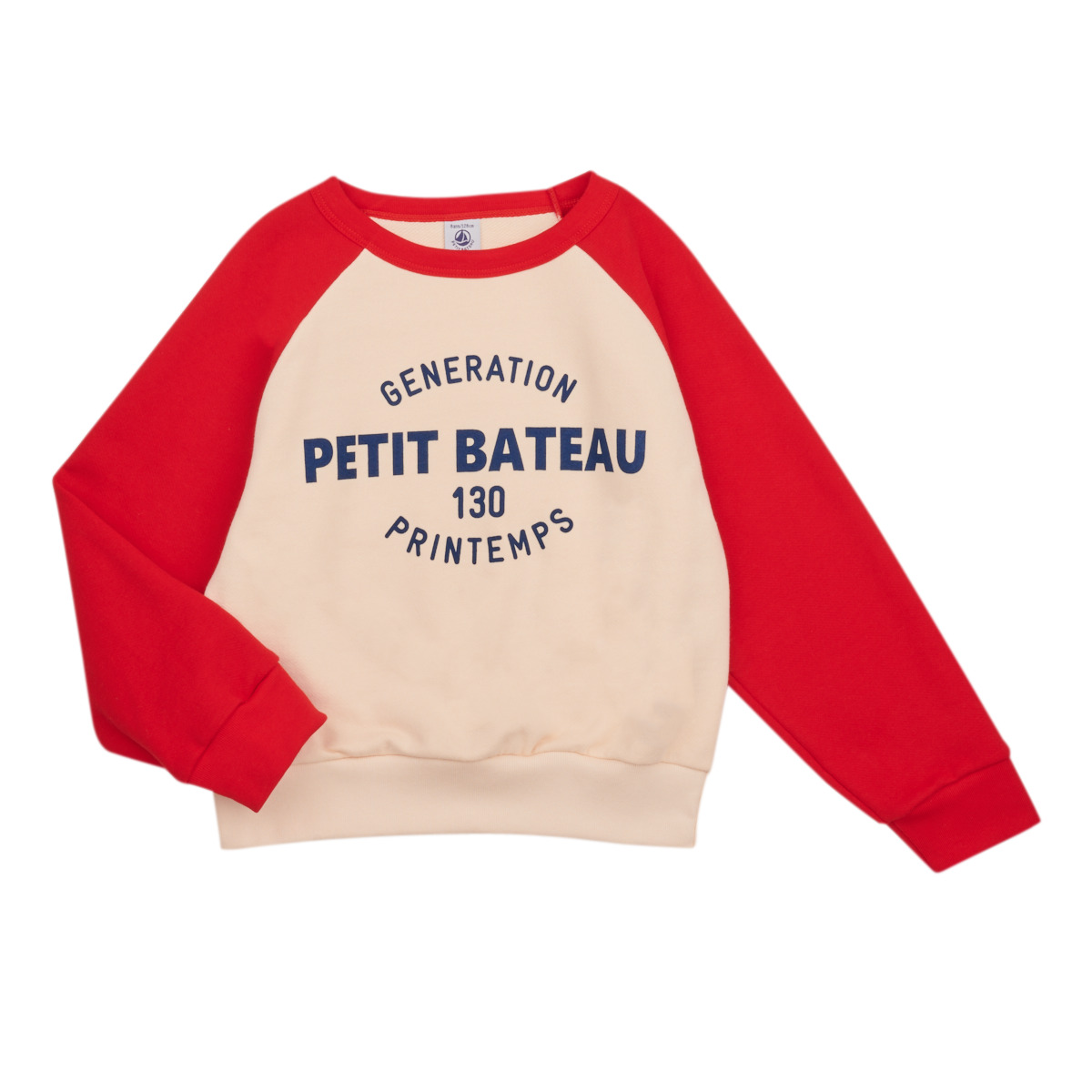 textil Pojkar Sweatshirts Petit Bateau FORGET Flerfärgad