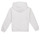 textil Pojkar Sweatshirts Calvin Klein Jeans MINI BLOCK LOGO HOODIE Vit