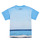 textil Pojkar T-shirts Desigual TS_ALBERT Blå