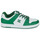 Skor Herr Sneakers DC Shoes MANTECA 4 SN Vit / Grön