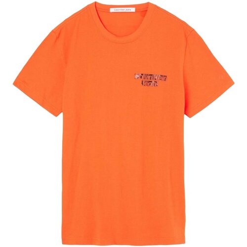 textil Herr T-shirts Calvin Klein Jeans J30J321772 Orange