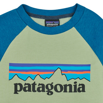 Patagonia K's LW Crew Sweatshirt Flerfärgad