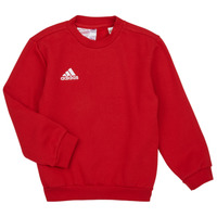 textil Barn Sweatshirts adidas Performance ENT22 SW TOPY Röd