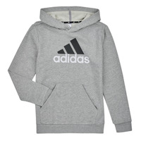textil Pojkar Sweatshirts Adidas Sportswear BL 2 HOODIE Ljung / Grå