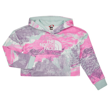 textil Flickor Sweatshirts The North Face Girls Drew Peak Light Hoodie Flerfärgad