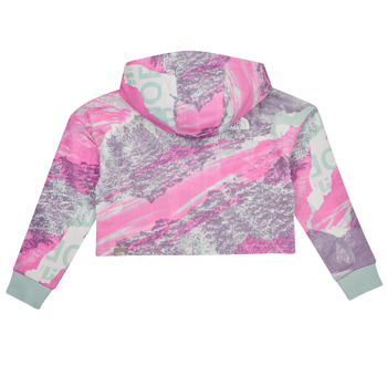 The North Face Girls Drew Peak Light Hoodie Flerfärgad
