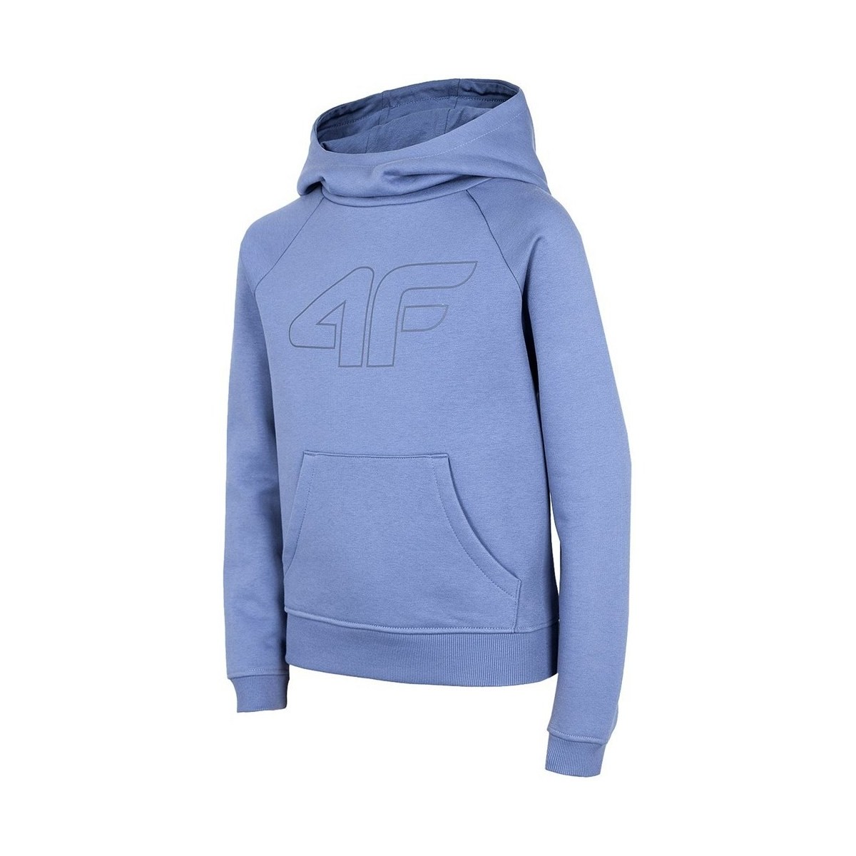textil Flickor Sweatshirts 4F JBLD002 Blå