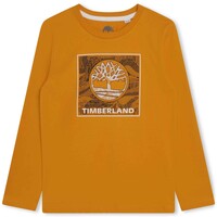 textil Pojkar T-shirts Timberland T25U36-575-J Gul