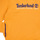 textil Pojkar Sweatshirts Timberland T25U56-575-J Gul
