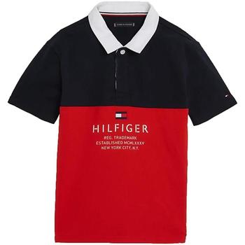 textil Pojkar T-shirts Tommy Hilfiger  Flerfärgad