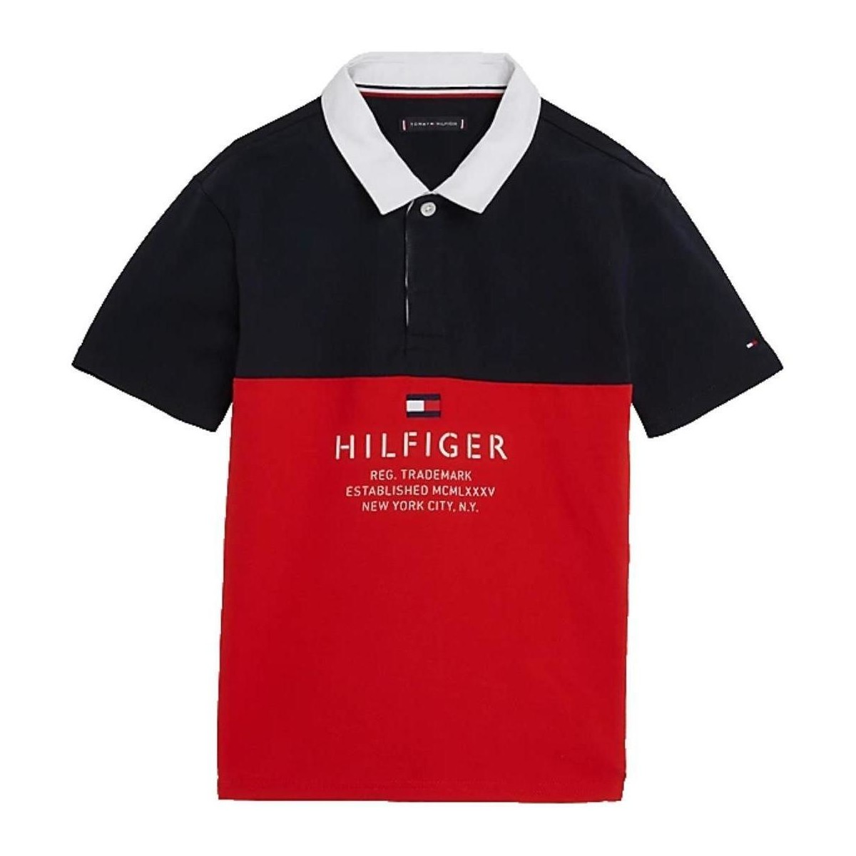 textil Pojkar T-shirts Tommy Hilfiger  Flerfärgad